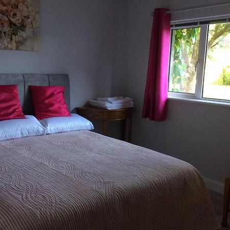 Mews With Garden Views Apartamento Carlow Exterior foto